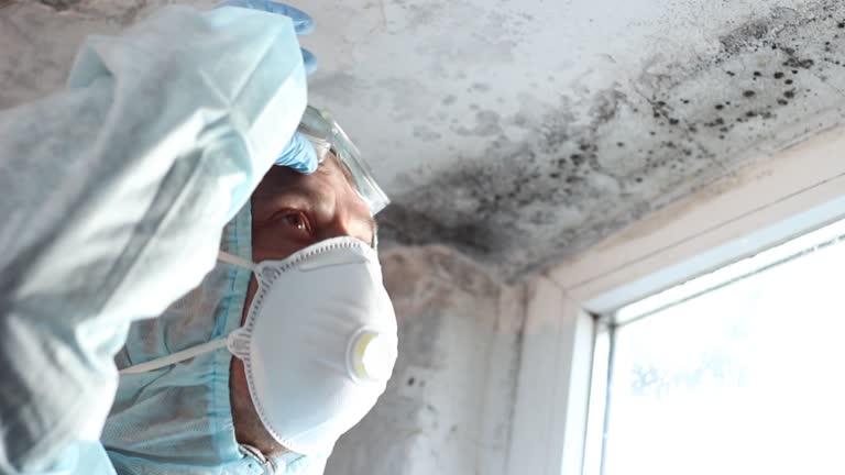 Mold Documentation for Insurance Claims in Mission Viejo, CA